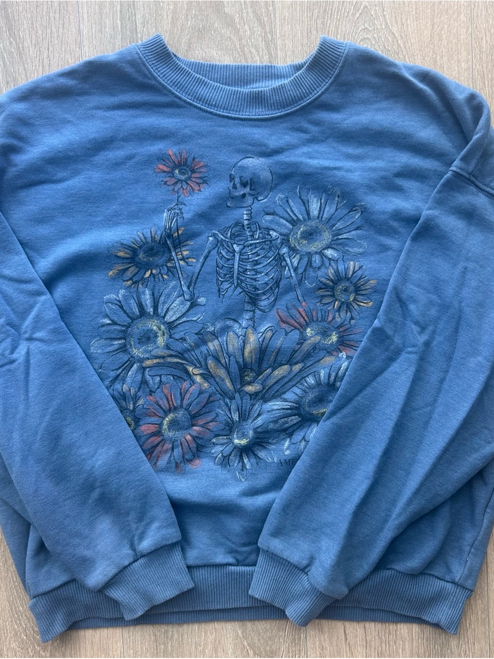 American Eagle Blue Graphic Skeleton Crewneck Sweatshirt